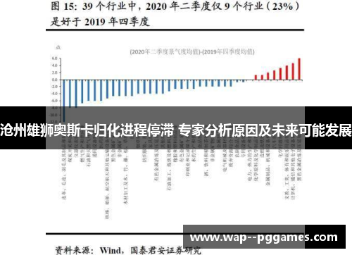 沧州雄狮奥斯卡归化进程停滞 专家分析原因及未来可能发展