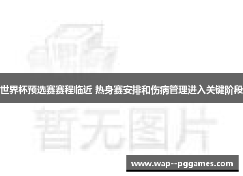 世界杯预选赛赛程临近 热身赛安排和伤病管理进入关键阶段 世界杯预选赛赛程临近 热身赛安排和伤病管理进入关键阶段