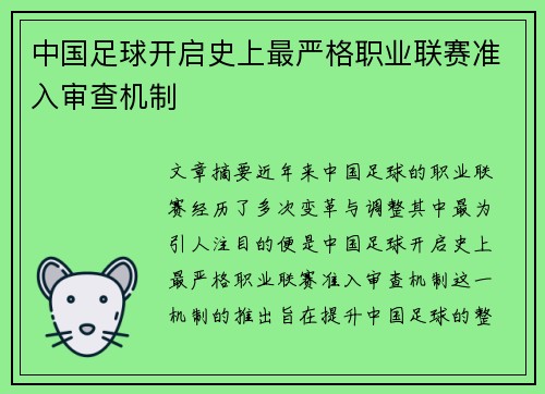 中国足球开启史上最严格职业联赛准入审查机制